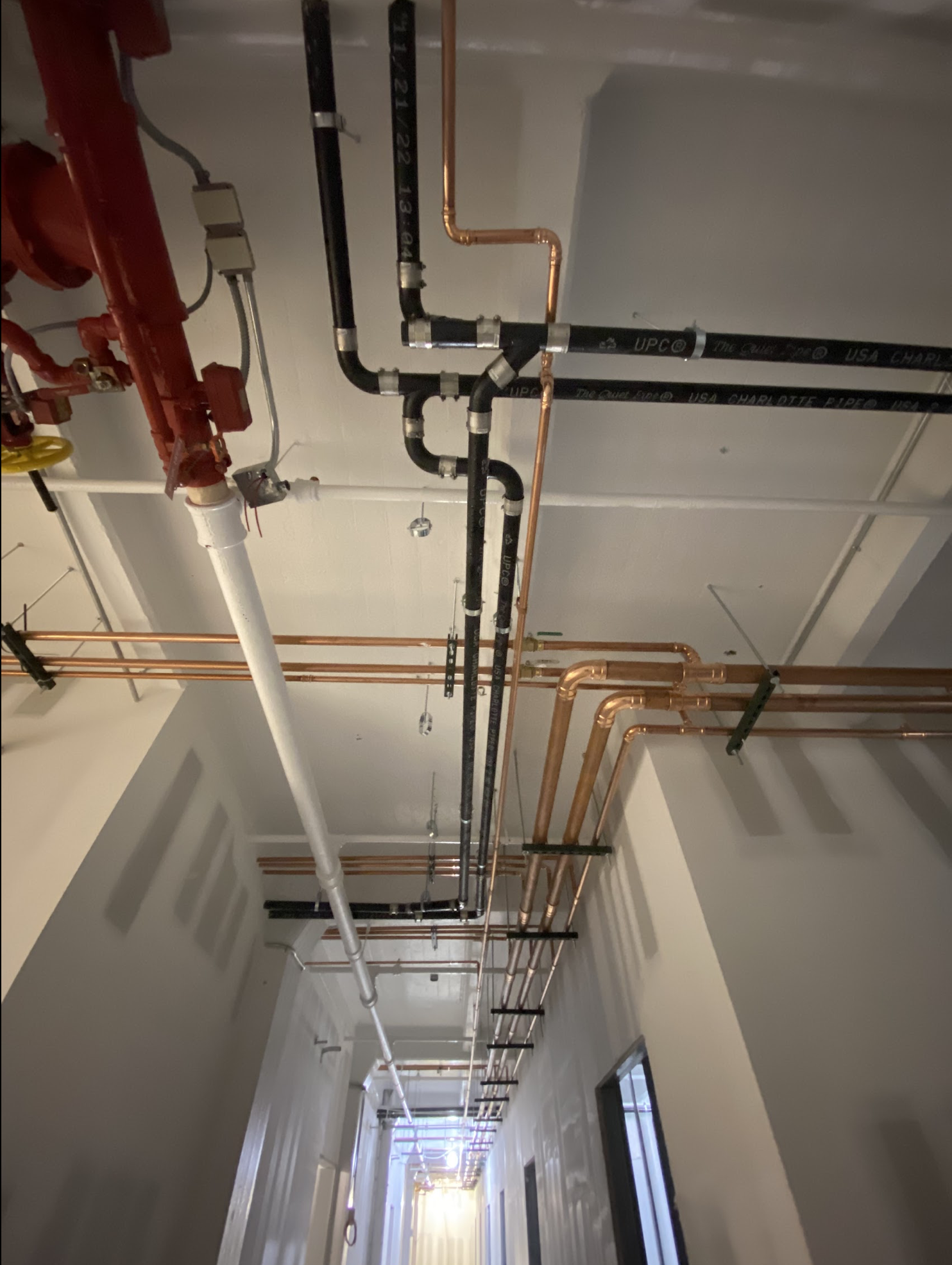 Overhead commercial plumbing rough-in with organized copper supply and PVC drain runs ceiling-mounted in a Sunset Park warehouse-to-office conversion